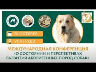 Международная Конференция «О Состоянии И Перспективах Развития Аборигенных Пород Собак»